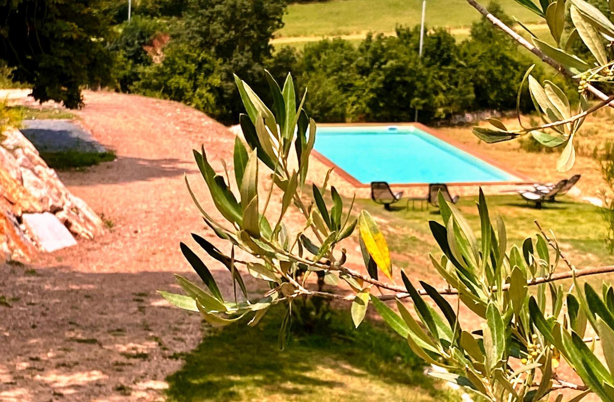 Domaine De Lejos - Portes D'Albi Lamillarié Exteriör bild